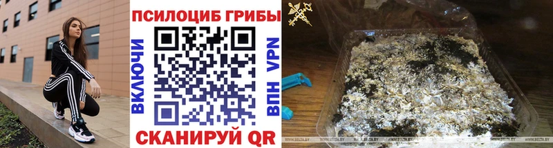 Галлюциногенные грибы Psilocybe  KRAKEN сайт  Россошь  площадка наркотические препараты  дарнет шоп 